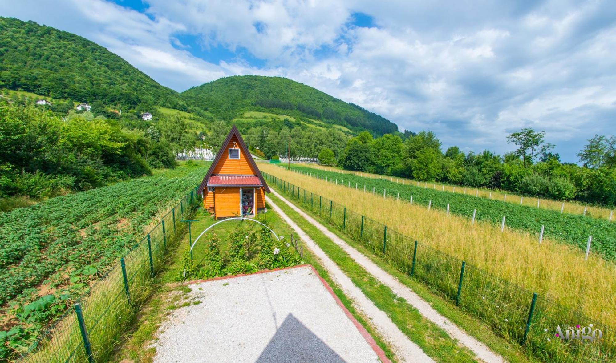 Pyramid Energy House * Visoko